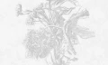 Fototapeta Wallart Light Flower