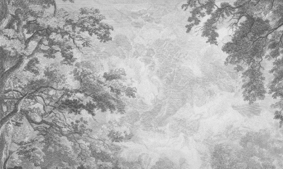 Fototapeta szare gałęzie drzew