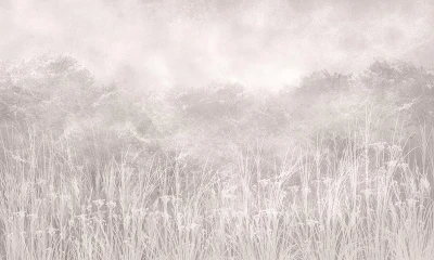Fototapeta beżowa łąka