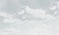 Fototapeta Wallart White Birds