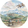 Fototapeta w kształcie koła - Aviator