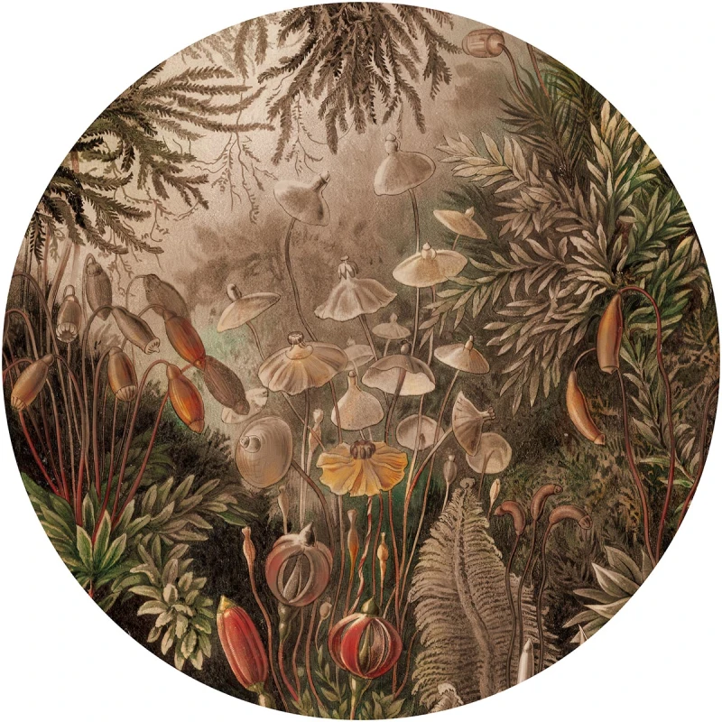 Fototapeta w kształcie koła - FairytaleClassic