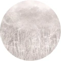 Fototapeta w kształcie koła - Tatarac Light