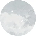 Fototapeta w kształcie koła - White Birds