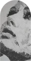 Fototapeta w kształcie łuku - Audrey