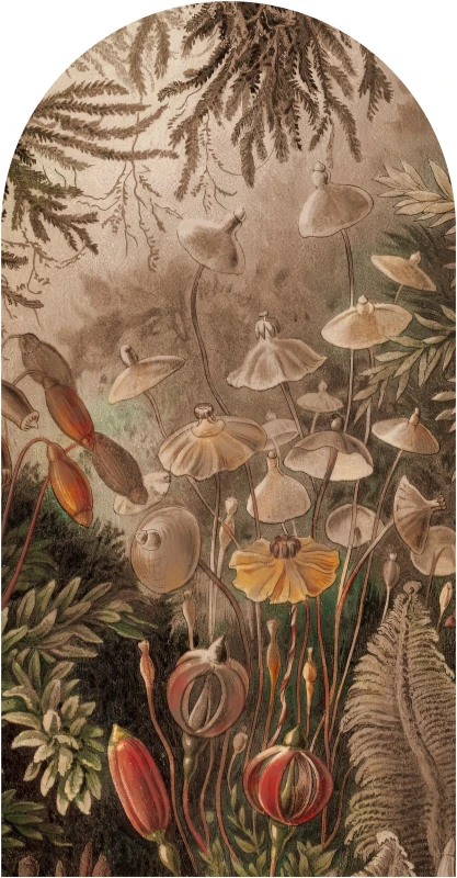 Fototapeta w kształcie łuku - FairytaleClassic