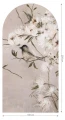 Fototapeta w kształcie łuku - Trel Beige