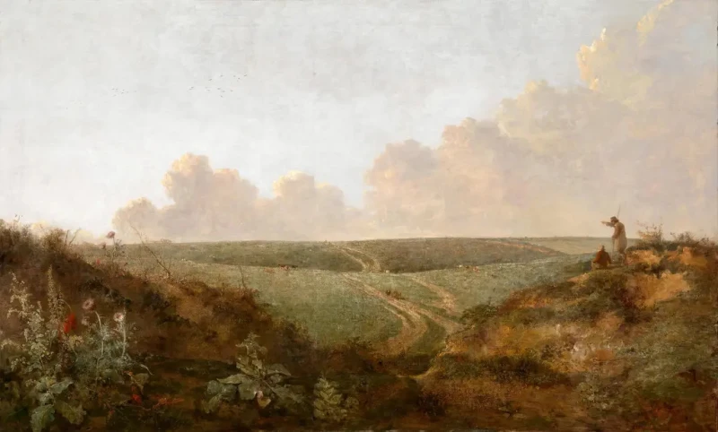 Fototapeta Mousehold Heath, Norwich 142406