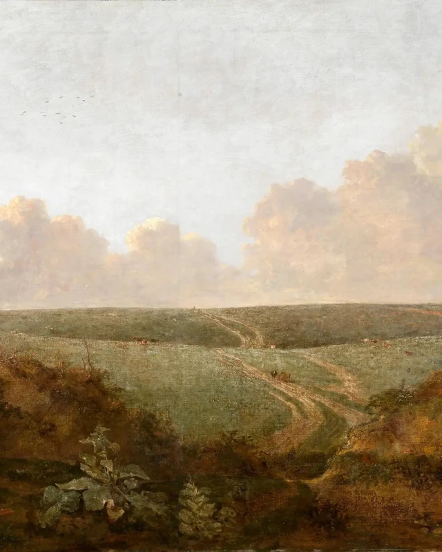 Fototapeta Mousehold Heath, Norwich 142406