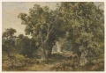 Fototapeta In Richmond Park 142699