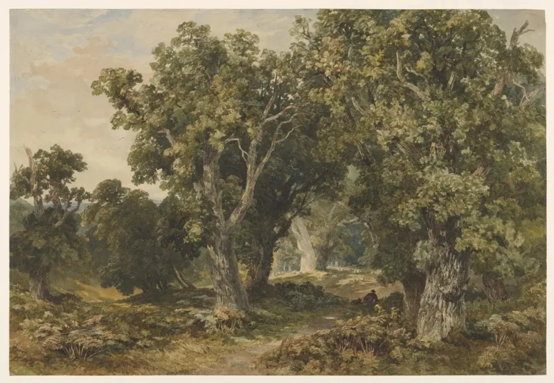 Fototapeta In Richmond Park 142699