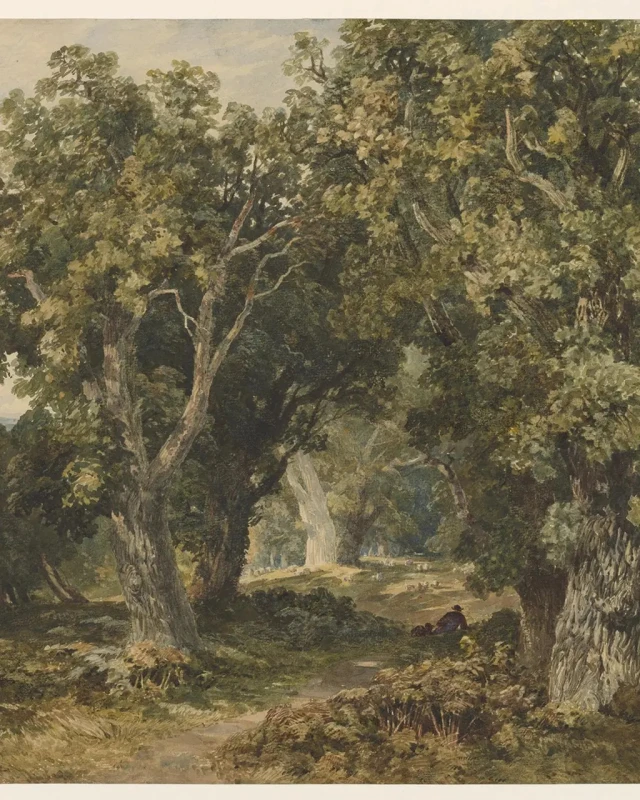 Fototapeta In Richmond Park 142699