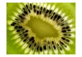 Fototapeta - owoce: kiwi