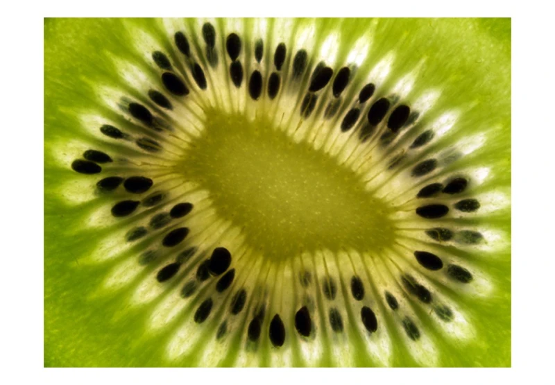 Fototapeta - owoce: kiwi
