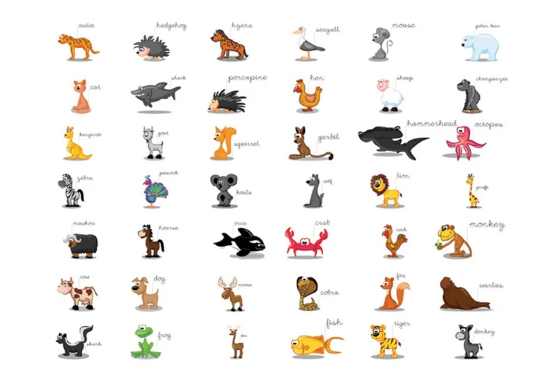 Fototapeta - Learning by playing (animals)
