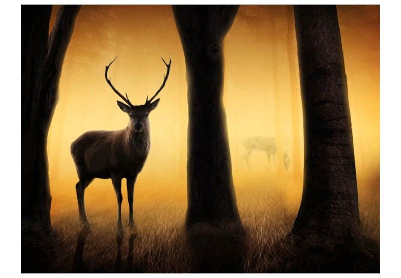 Fototapeta - Deer in his natural habitat