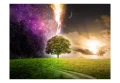 Fototapeta - Magic tree