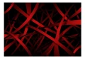Fototapeta - Strach przed ciemnością