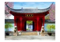 Fototapeta - Chinese botanical garden of Montreal (Quebec Canada)