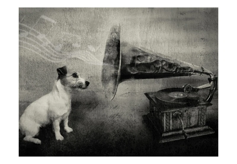 Fototapeta - Dog's melodies