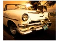 Fototapeta - Viva Havana!