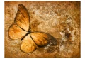 Fototapeta - motyl (sepia)