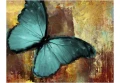 Fototapeta - Painted butterfly