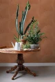 Tapeta 139915 Floral Fever Esta Home