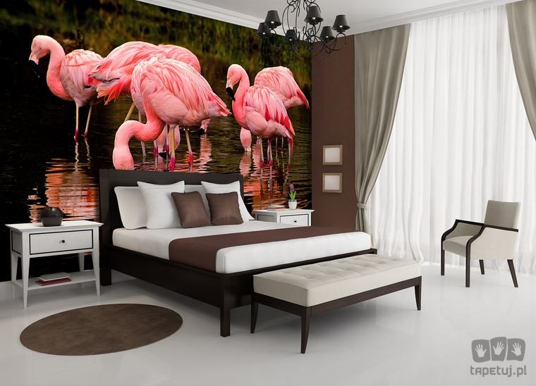 Fototapeta flamingi