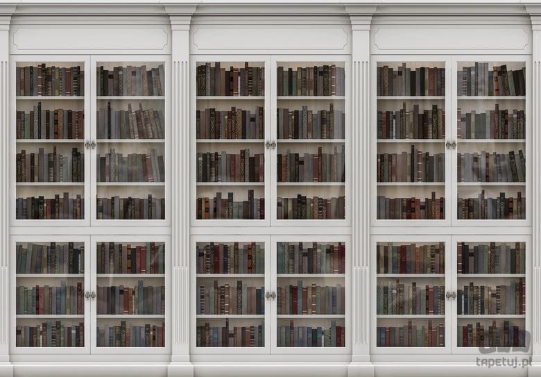 Fototapeta Biblioteka pełna książek 3689
