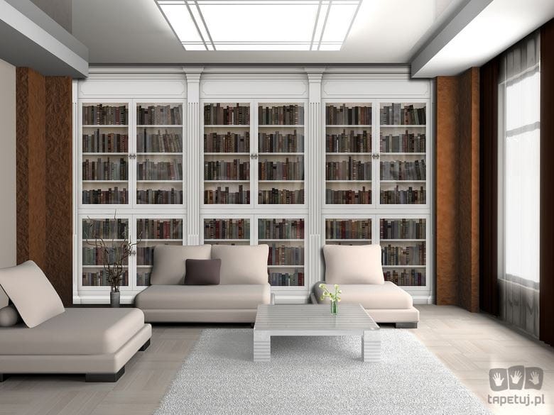 Fototapeta imitująca regały z książkami biblioteka