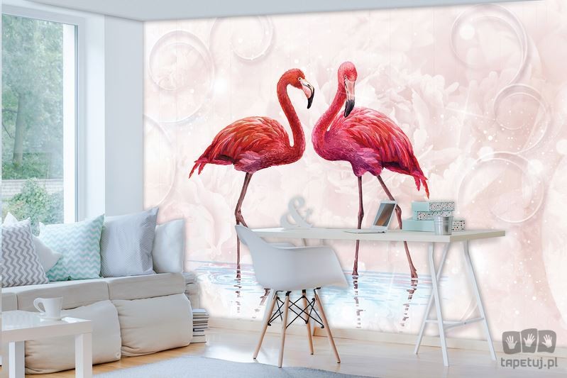 Fototapeta dwa flamingi