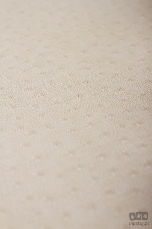 Skin 32-639 tapeta ścienna Superfresco Easy