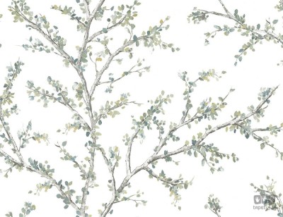 Woodlands JB20204 tapeta ścienna Wallquest