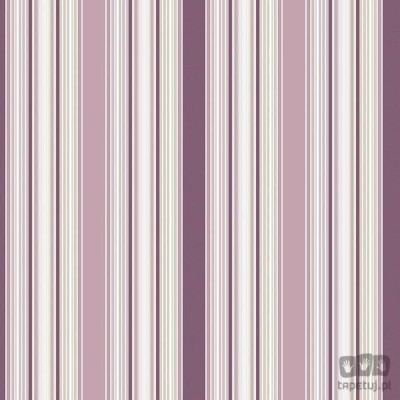 Smart Stripes 2 G67531 tapeta ścienna Galerie