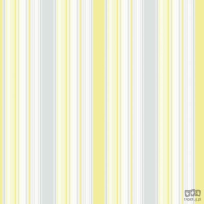 Smart Stripes 2 G67532 tapeta ścienna Galerie