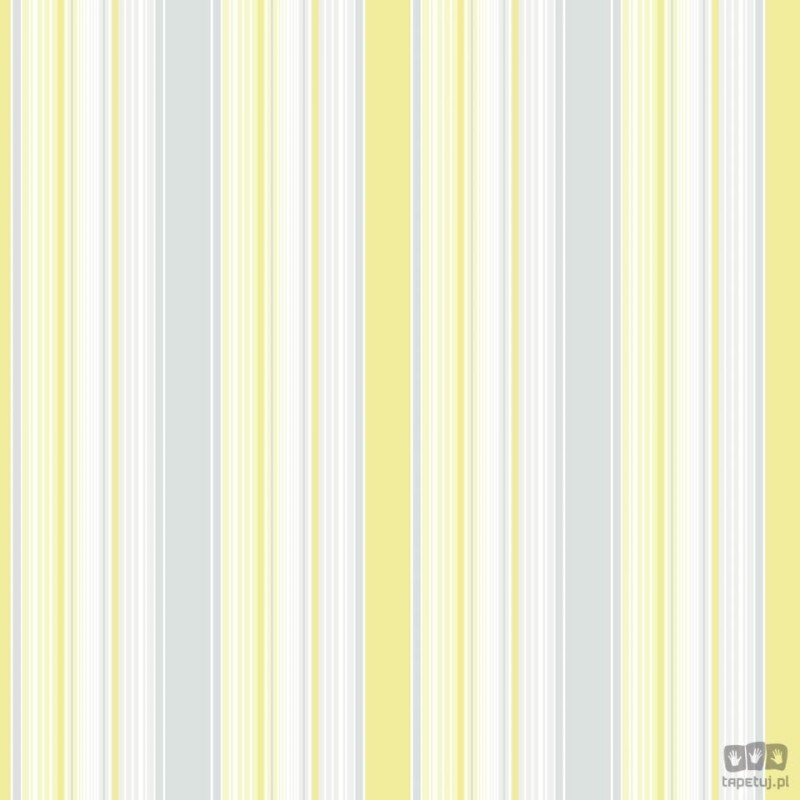 Smart Stripes 2 G67532 tapeta ścienna Galerie