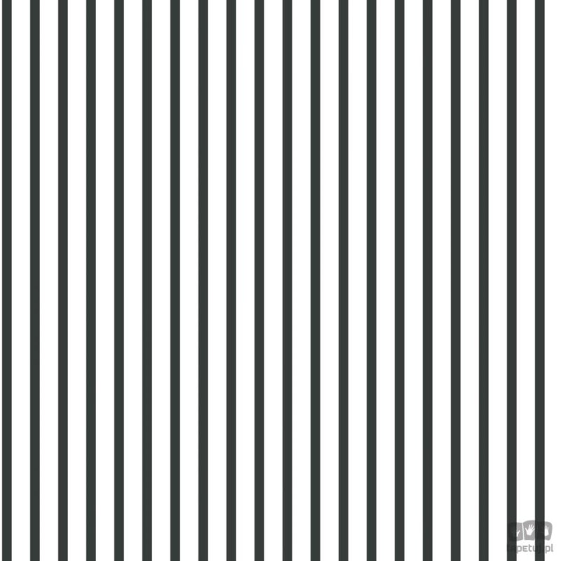 Smart Stripes 2 G67533 tapeta ścienna Galerie