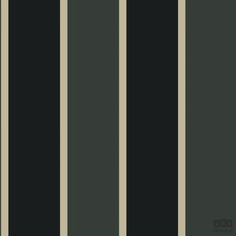 Smart Stripes 2 G67544 tapeta ścienna Galerie