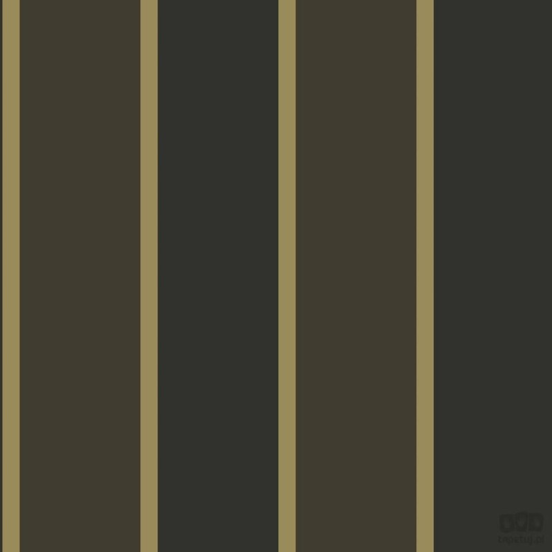 Smart Stripes 2 G67546 tapeta ścienna Galerie