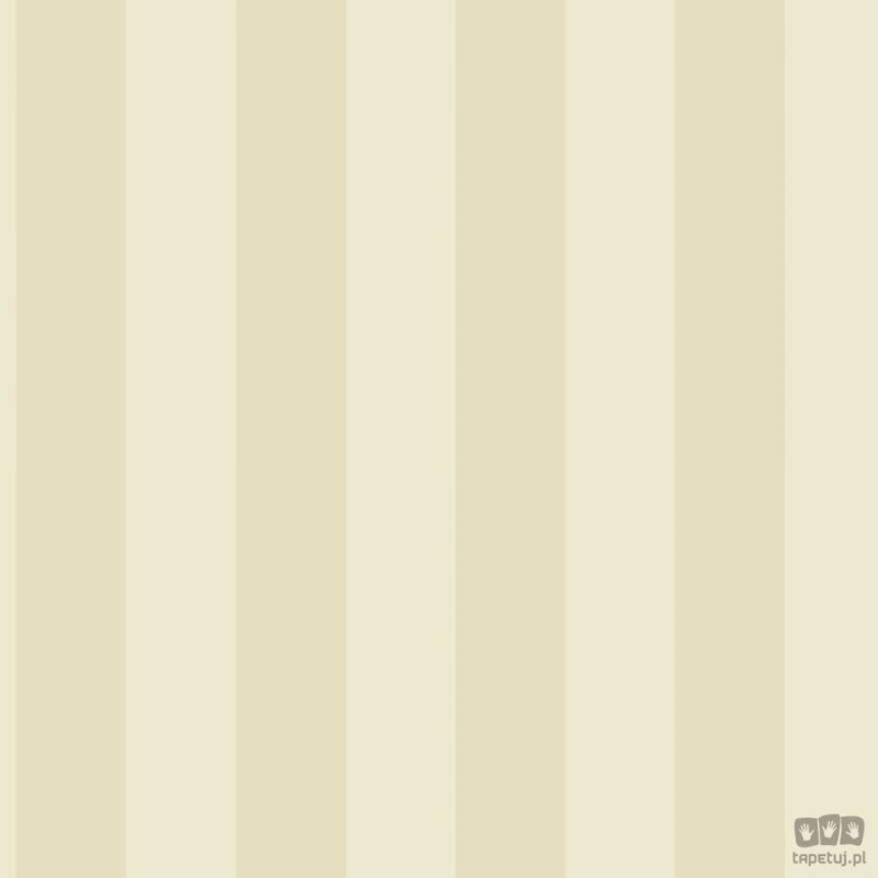 Smart Stripes 2 G67555 tapeta ścienna Galerie