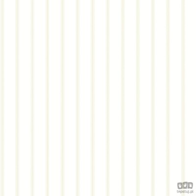 Smart Stripes 2 G67561 tapeta ścienna Galerie