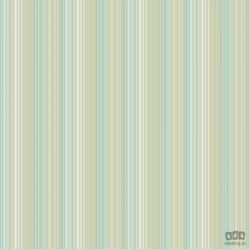 Smart Stripes 2 G67567 tapeta ścienna Galerie