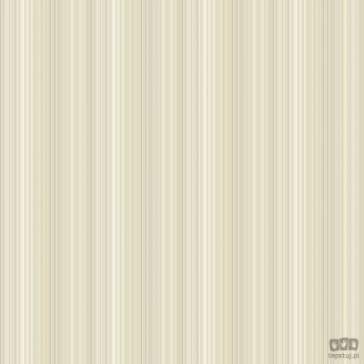 Smart Stripes 2 G67568 tapeta ścienna Galerie