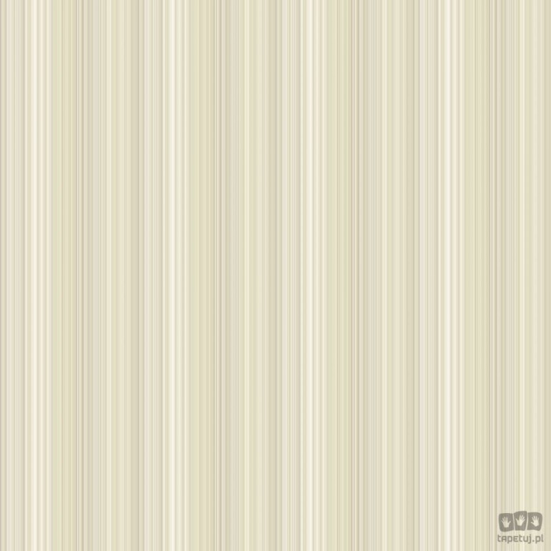 Smart Stripes 2 G67568 tapeta ścienna Galerie