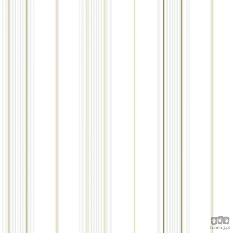 Smart Stripes 2 G67575 tapeta ścienna Galerie