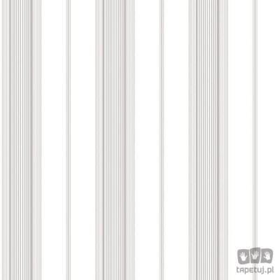Smart Stripes 2 G67576 tapeta ścienna Galerie