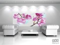 Fototapeta ORCHIDEA 116