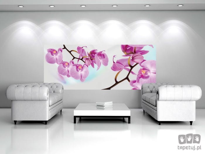 Fototapeta orchidea