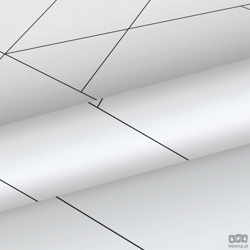 Biała tapeta w czarne linie wzór geometryczny flizelina